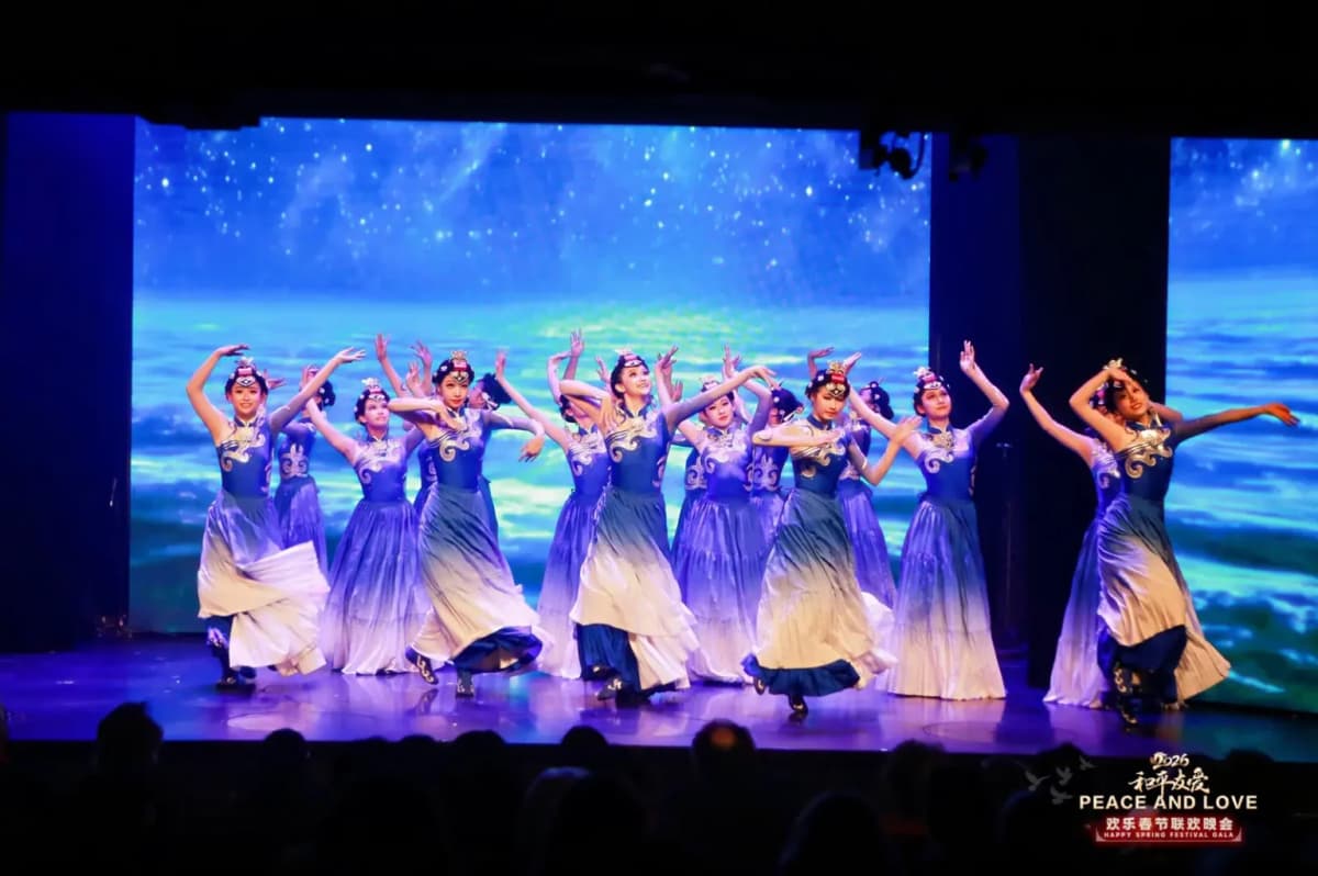 Performance at the Chinese New Year Gala in Paris
